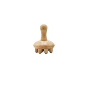 Wooden Mushroom Brush
