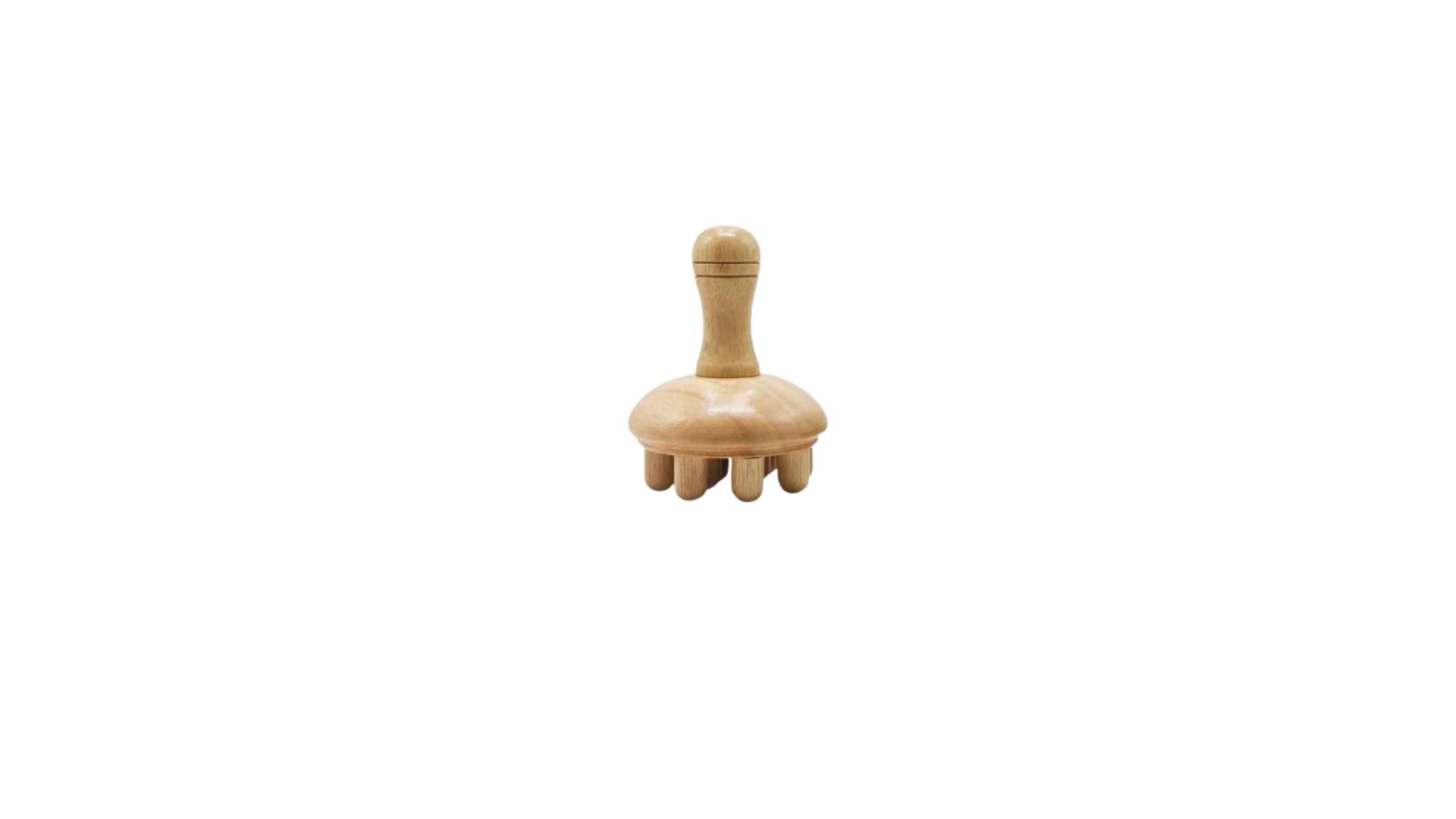 Wooden Mushroom Brush